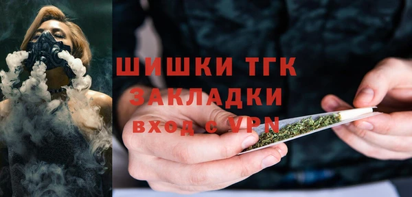 хмурый Покачи