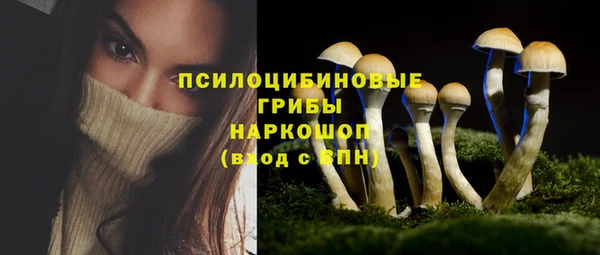 хмурый Покачи