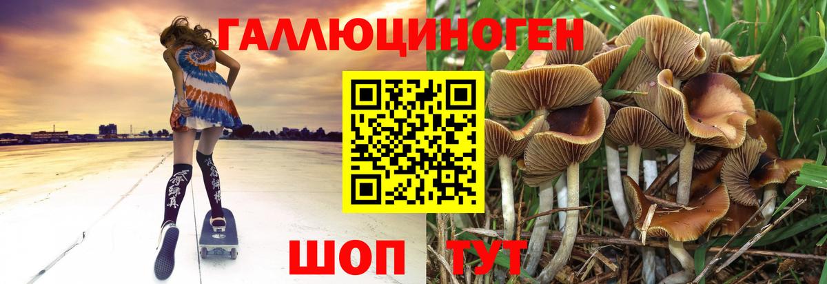 Псилоцибиновые грибы GOLDEN TEACHER Волжский